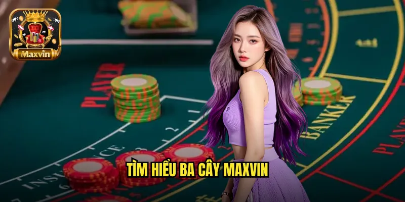 Tìm hiểu ba cây maxvin
