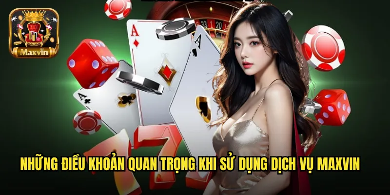 Những điều khoản quan trọng khi sử dụng dịch vụ maxvin