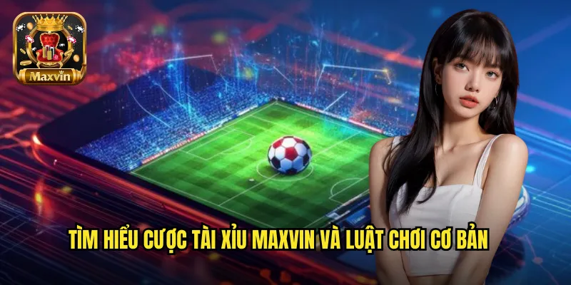 Tìm hiểu cược tài xỉu maxvin và luật chơi cơ bản